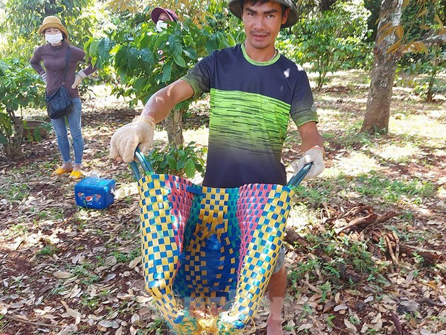 Sau một buổi hứng sầu, chiếc làn này cũng nát bét, phải vứt đi