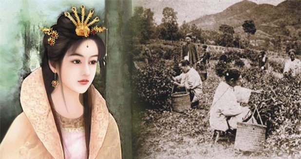 Nhung my nhan pham toi tay dinh trong lich su Trung hoa-Hinh-4