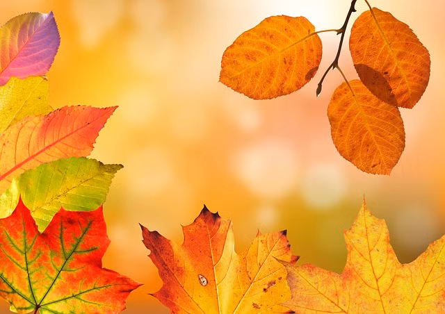 4 con giap don nhung dieu tot dep, thuan buom xuoi gio trong thang 9