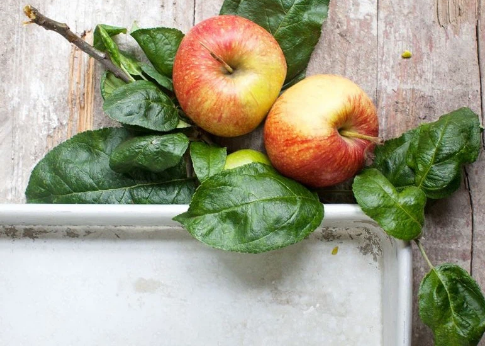 Thuc pham cac chi em nen bo sung moi ngay de dang dep nuot na-Hinh-2