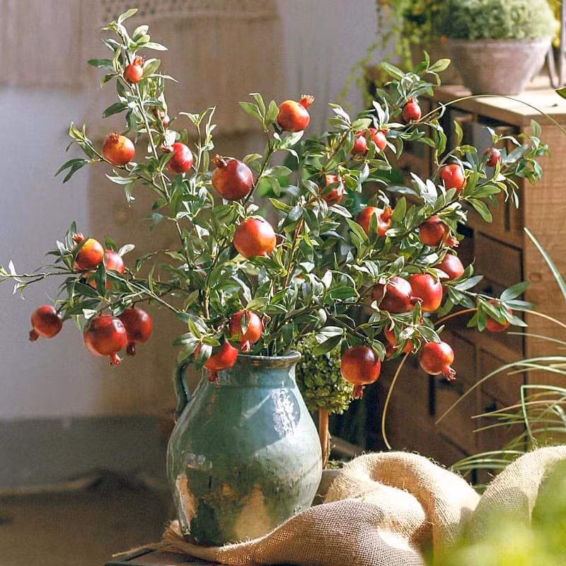 Ly do gi khien chi em ran ran mua cay luu gia ve trung Tet-Hinh-5