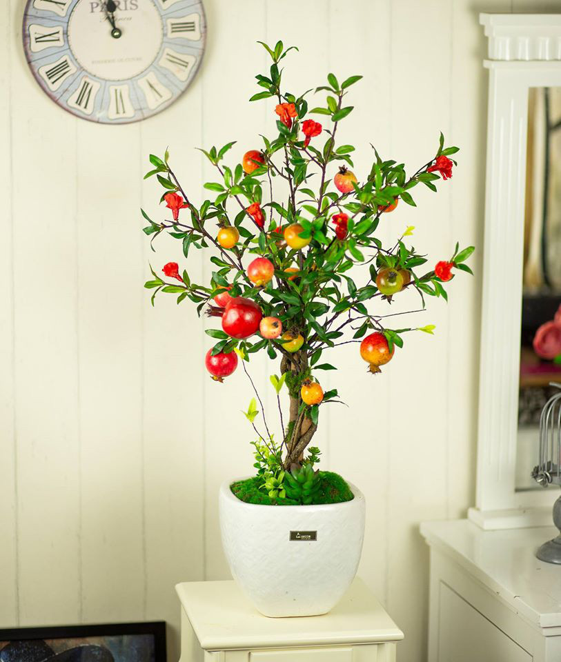 Lý do gì khiến chị em rần rần mua cây lựu giả về trưng Tết - Hình 6 Ly do gi khien chi em ran ran mua cay luu gia ve trung Tet-Hinh-6