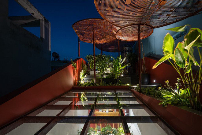 Kham pha ngoi nha co vuon rau tren mai doc-Hinh-12