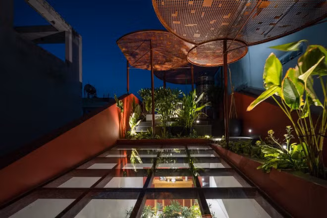 Kham pha ngoi nha co vuon rau tren mai doc-Hinh-12