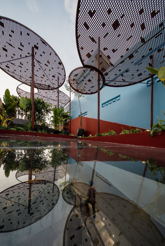 Kham pha ngoi nha co vuon rau tren mai doc-Hinh-13