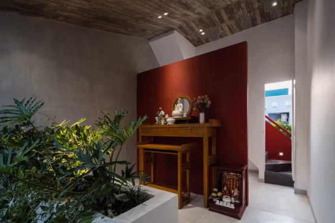 Kham pha ngoi nha co vuon rau tren mai doc-Hinh-8