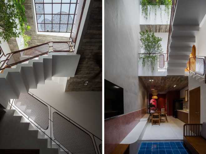 Kham pha ngoi nha co vuon rau tren mai doc-Hinh-5