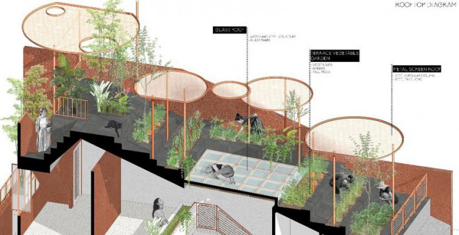 Kham pha ngoi nha co vuon rau tren mai doc-Hinh-14