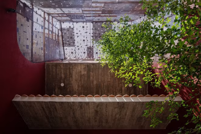 Kham pha ngoi nha co vuon rau tren mai doc-Hinh-7