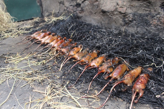 Đặc sản thịt chuột của người Hà Nội, nhìn khiếp đảm nhưng giá không hề rẻ - Hình 4 Dac san thit chuot cua nguoi Ha Noi, nhin khiep dam nhung gia khong he re-Hinh-4