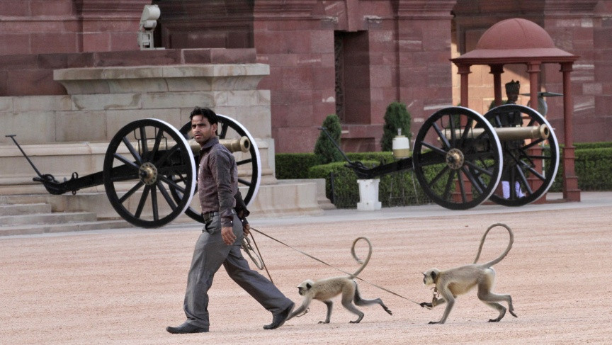 Khi o Indonesia thich trom do dat tien-Hinh-2