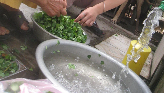 Nguoi Viet da dung 1 loai co 4 la de nau canh cua cuc ngon-Hinh-3