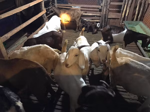 9x chon ban mat cho dat, ban lung cho troi, thu tram trieu/nam-Hinh-2