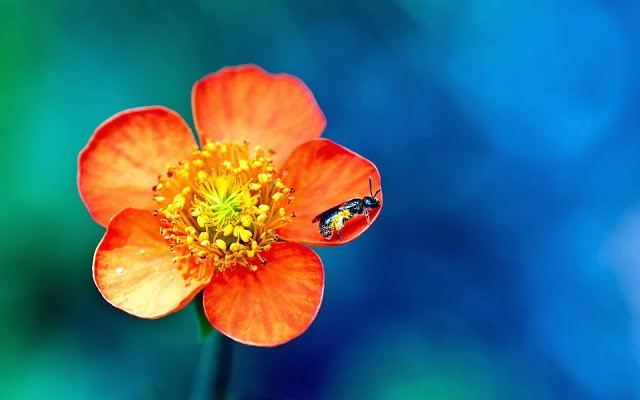 Những người có ngày sinh kết thúc bằng số 5 vốn rất có tài lãnh đạo. Nhờ những thế mạnh này, việc họ trở thành nhân vật nổi tiếng, có quyền và có tiền trong tay là điều rất xứng đáng.