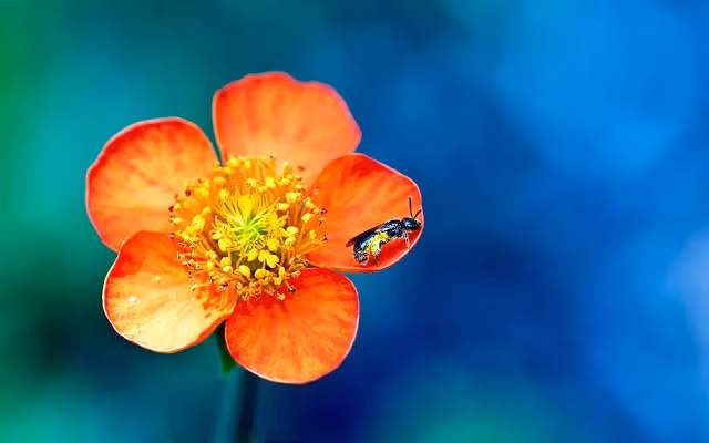 Những người có ngày sinh kết thúc bằng số 5 vốn rất có tài lãnh đạo. Nhờ những thế mạnh này, việc họ trở thành nhân vật nổi tiếng, có quyền và có tiền trong tay là điều rất xứng đáng.