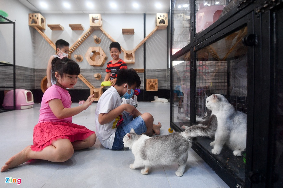 br/> Ngoài những loài vật ngoại lai thì quán cũng có những khu vực nuôi chó, mèo tạo không gian chơi cho các em nhỏ.