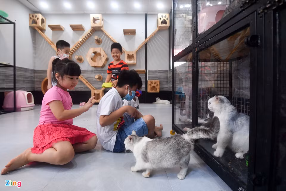 br/> Ngoài những loài vật ngoại lai thì quán cũng có những khu vực nuôi chó, mèo tạo không gian chơi cho các em nhỏ.