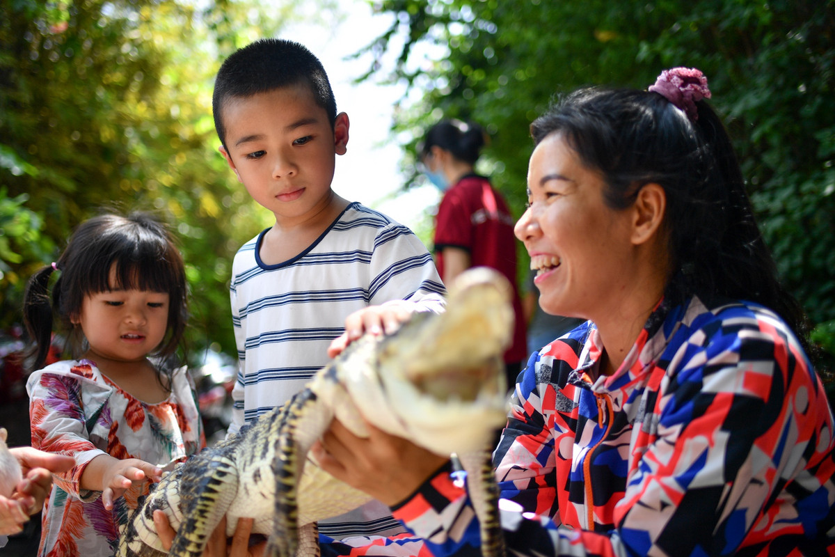 Chú cá sấu Xiêm này là thú nuôi của bạn Trần Duy Khang, nhân viên tại quán. Chỉ khi có Khang thì cá sấu mới được cho ra ngoài để khách có thể vuốt ve và bế chụp hình chung.