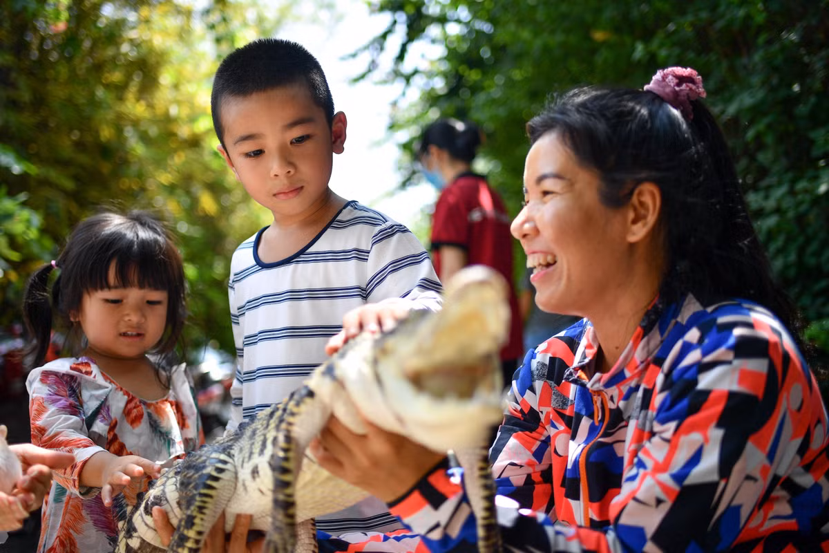 Chú cá sấu Xiêm này là thú nuôi của bạn Trần Duy Khang, nhân viên tại quán. Chỉ khi có Khang thì cá sấu mới được cho ra ngoài để khách có thể vuốt ve và bế chụp hình chung.