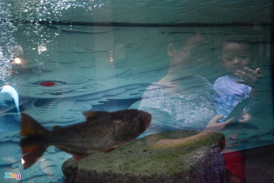 br/> Trong không gian quán cà phê còn có bể cá cảnh với nhiều loài cá mang giá trị hàng chục triệu đồng.