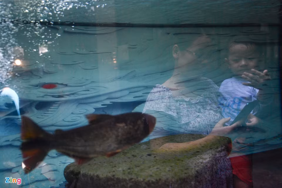 br/> Trong không gian quán cà phê còn có bể cá cảnh với nhiều loài cá mang giá trị hàng chục triệu đồng.