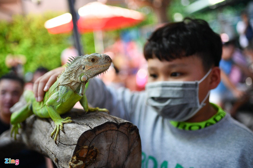 br/> Anh Siếu Hòa cho biết mình là người đam mê nuôi động vật từ nhỏ. Anh mở quán cà phê này với mong muốn cho mọi người có có cơ hội tìm hiểu về các loài động vật ngoại lai. "Tại đây cũng có nhiều loài hung dữ nên luôn được nhốt trong chuồng, chỉ khi nhân viên có mặt thì khách mới có thể sờ hay vuốt ve chúng", anh Hòa chia sẻ.