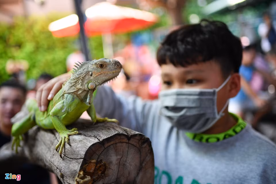 br/> Anh Siếu Hòa cho biết mình là người đam mê nuôi động vật từ nhỏ. Anh mở quán cà phê này với mong muốn cho mọi người có có cơ hội tìm hiểu về các loài động vật ngoại lai. "Tại đây cũng có nhiều loài hung dữ nên luôn được nhốt trong chuồng, chỉ khi nhân viên có mặt thì khách mới có thể sờ hay vuốt ve chúng", anh Hòa chia sẻ.