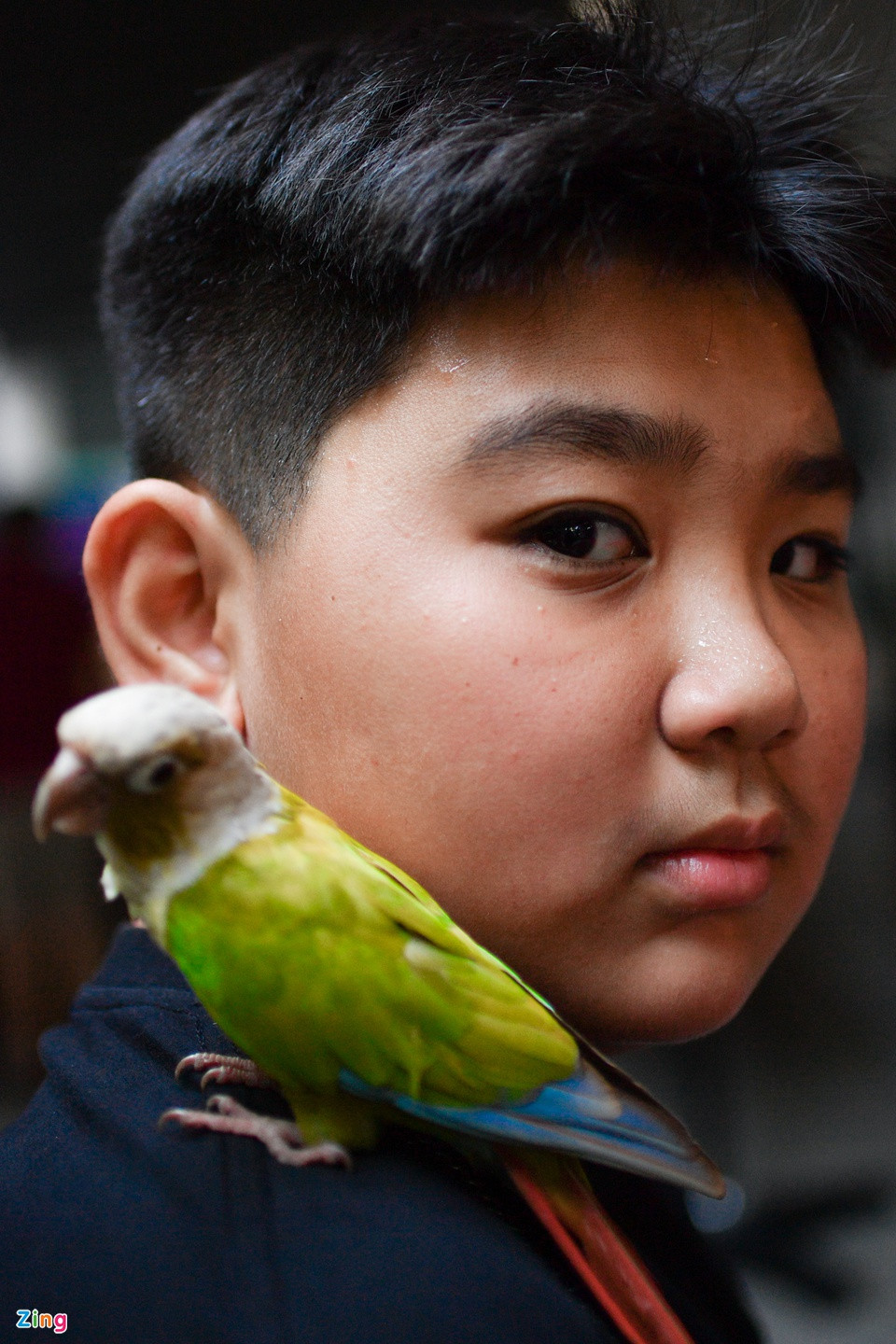 br/> Hải Đăng (13 tuổi) cùng gia đình mang những chú chim đến quán cà phê để giao lưu cùng hội nhóm mỗi cuối tuần. Đăng và bố nuôi nhiều chim cảnh, thuần hóa lâu ngày để mang chúng trên vai.