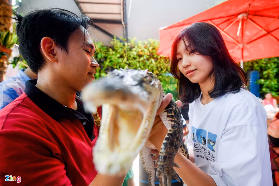 br/> Quán cà phê này là ý tưởng của anh Dương Siếu Hòa. Anh Hòa mất 6 tháng để thiết kế, khó nhất là công đoạn dựng chuồng nuôi cho hàng trăm con vật, bởi mỗi loài sẽ có một đặc trưng về không gian sống.