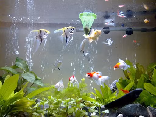 Bong dung thay 9 dau hieu nay, can than xui xeo ap den nha-Hinh-2