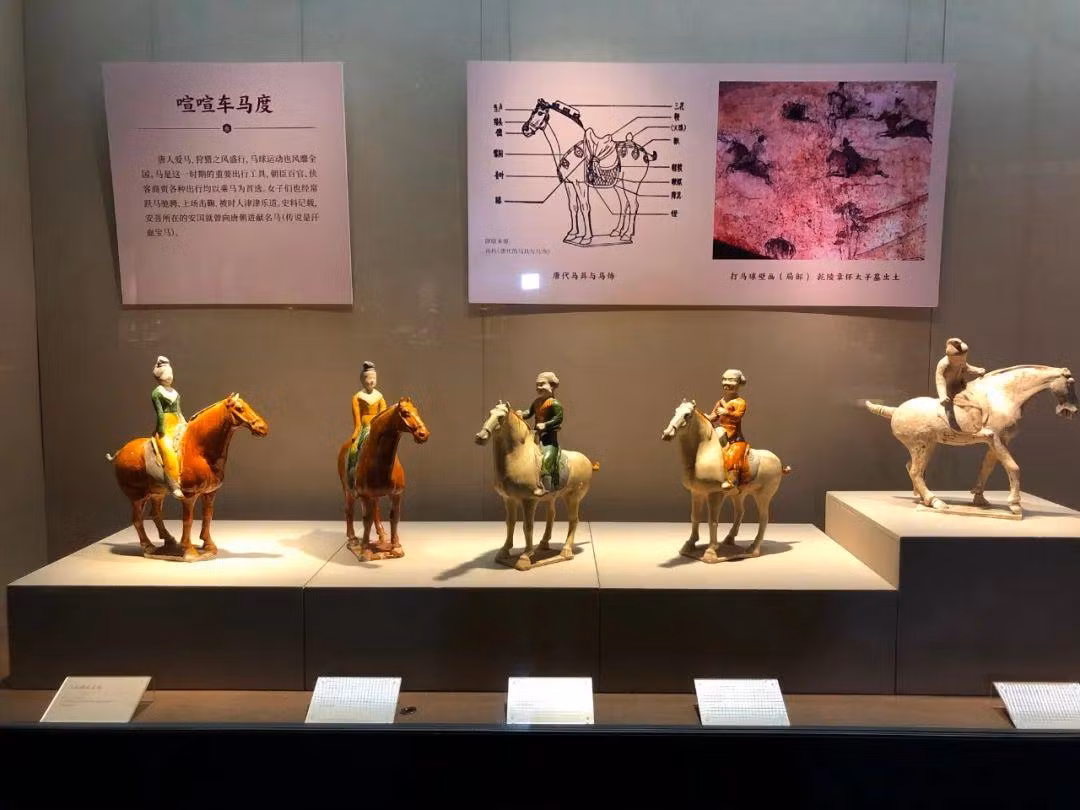 Phát hiện độc nhất ở "kinh đô mộ cổ" Trung Quốc - Hình 4 Phat hien doc nhat o