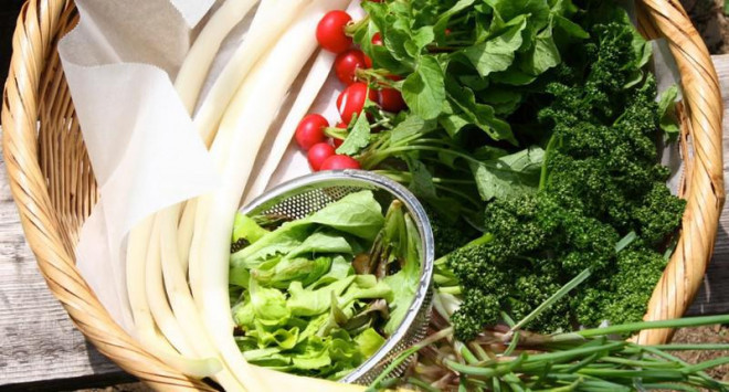 4 loai rau cu nghe ten rat quen thuoc nhung khong phai luc nao cung re-Hinh-3