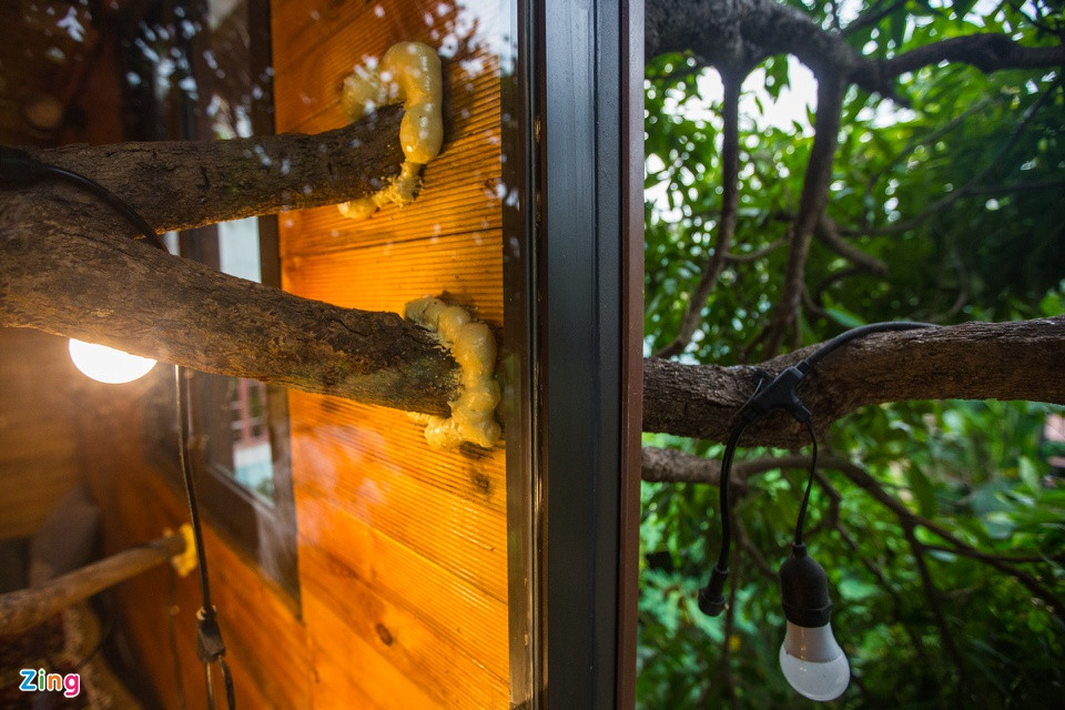 br/> Tường phía trong được ốp gỗ thông và nứa. Những chỗ nhánh cây đâm qua mái và tường được xịt kín bọt xốp ngăn côn trùng vào nhà, đồng thời giảm bớt ảnh hưởng rung lắc của cây nhãn mỗi mùa mưa bão tới. Sàn nhà thiết kế 3 lớp, ở giữa là thép, mặt trên và dưới ốp gỗ để ngăn nước mưa ngấm vào nhà.