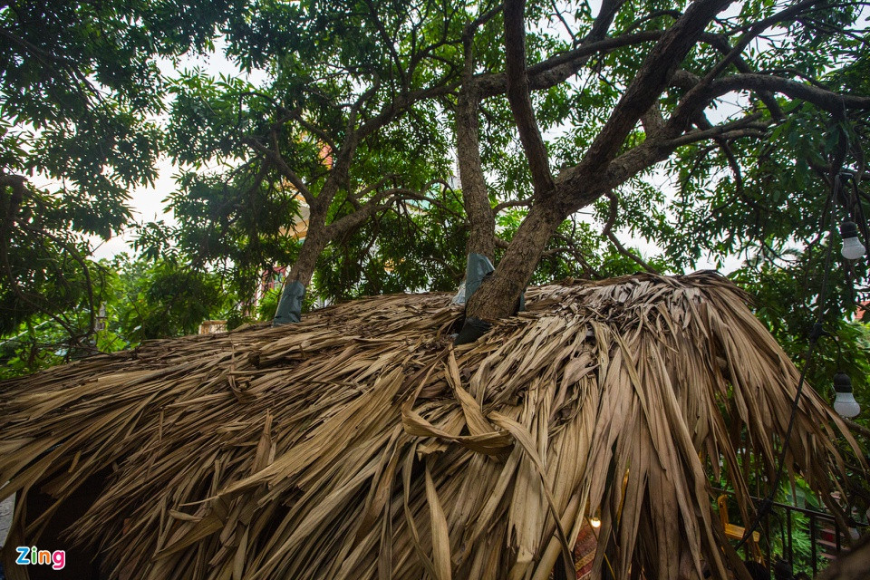 br/> Lớp lá cọ bên trên mái nhà nhìn từ bên ngoài, có tác dụng tránh mưa gió và làm cho căn nhà gần gũi hơn với thiên nhiên.