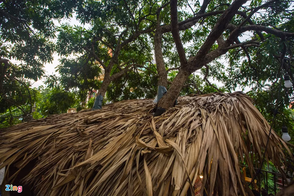 br/> Lớp lá cọ bên trên mái nhà nhìn từ bên ngoài, có tác dụng tránh mưa gió và làm cho căn nhà gần gũi hơn với thiên nhiên.