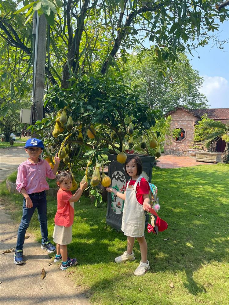 Ngay ve Viet Nam cua con trai Ngo Kien Huy-Hinh-15