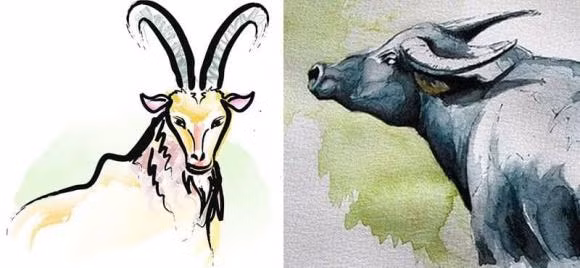 Nhung con giap dai xung dai khac can tranh nhau cang xa cang tot-Hinh-2