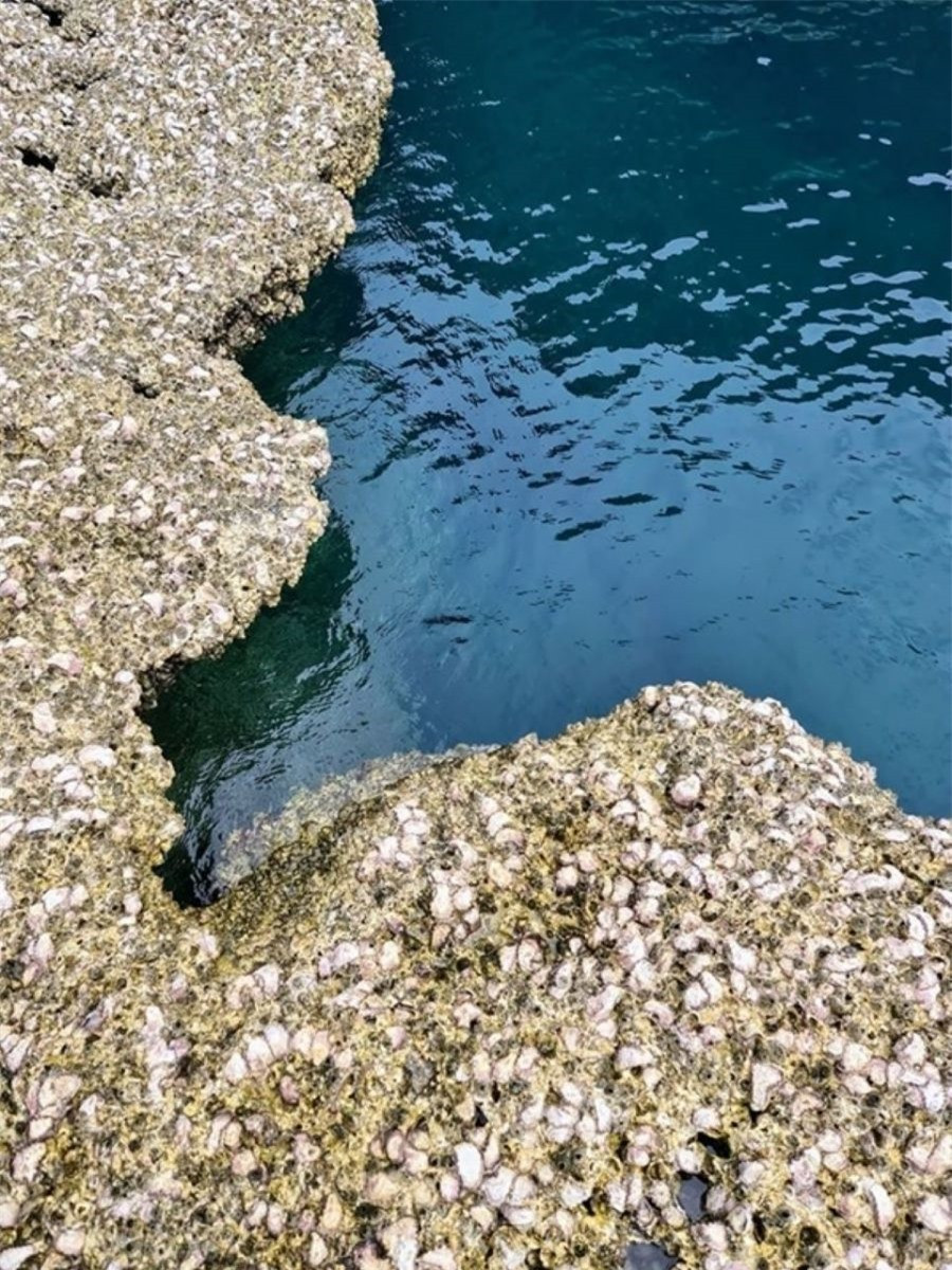 Ngắm "hồ bơi giữa biển" Việt Nam y hệt cảnh Bắc Âu ảnh 4