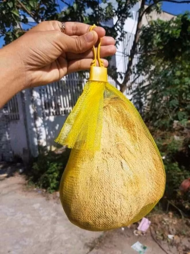 300.000 dong/qua dua sap van duoc san don bat chap COVID-19-Hinh-4