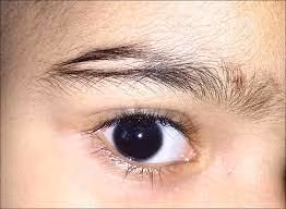 5 net tuong pha tai pha loc, can than khuynh gia bai san