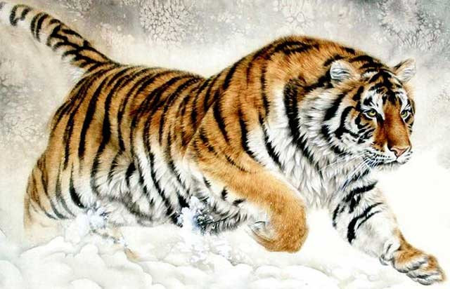 Nham Dan 2022: 4 con giap pham Thai Tue, tram be xui, van su tac