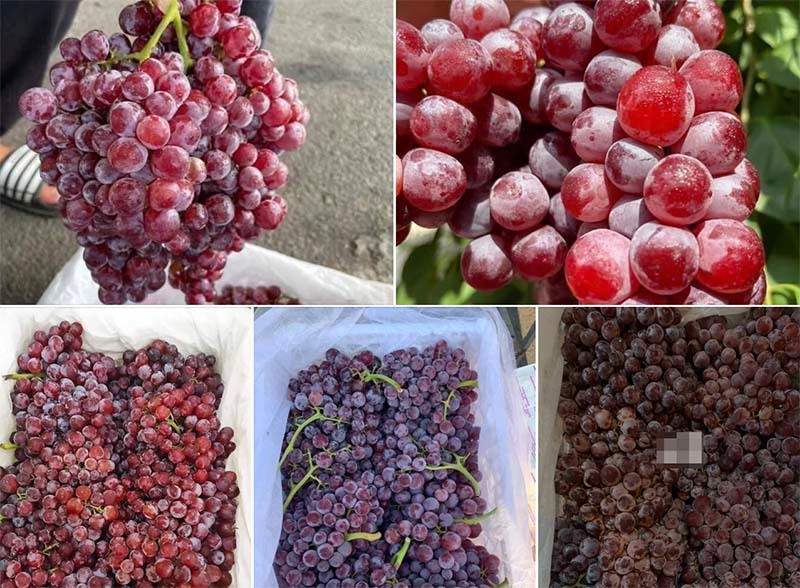 Nho Trung Quoc do ve cho Viet, co loai gia re nhu khoai lang