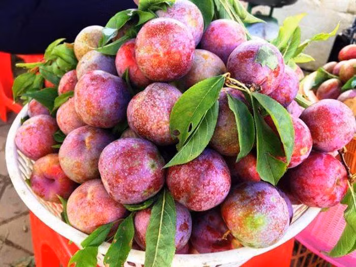 Bat mi cach chon man gion ngot, khong so tam chat bao quan