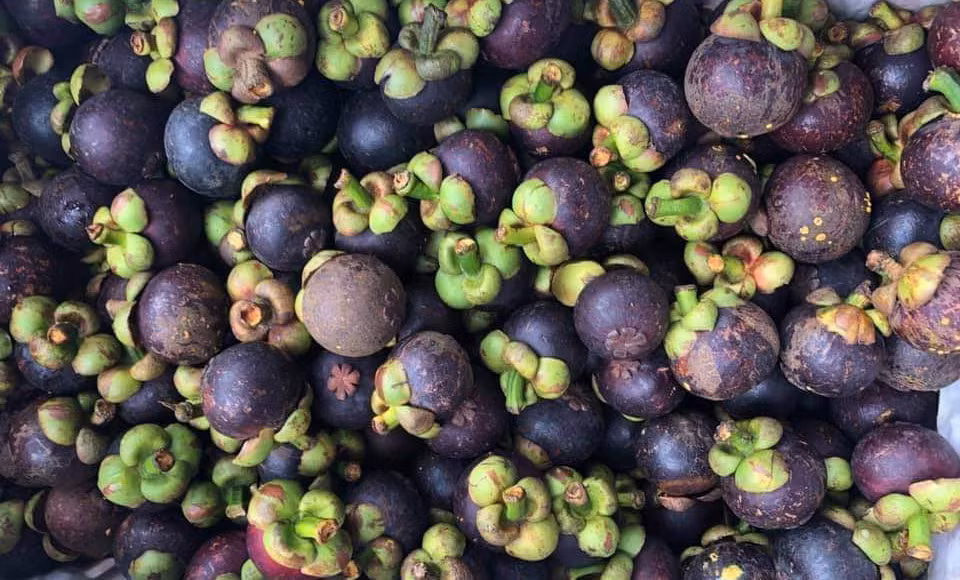 Măng cụt ngập chợ, cách chọn để 10 quả ngon ngọt cả 10 ảnh 1