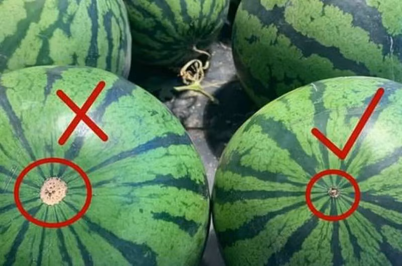 Chon dua hau nhin ben ngoai thay 5 dau hieu nay dam bao ngon