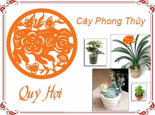 Loai cay phong thuy ma tuoi Hoi nen trong trong nha de thu hut tai loc-Hinh-2