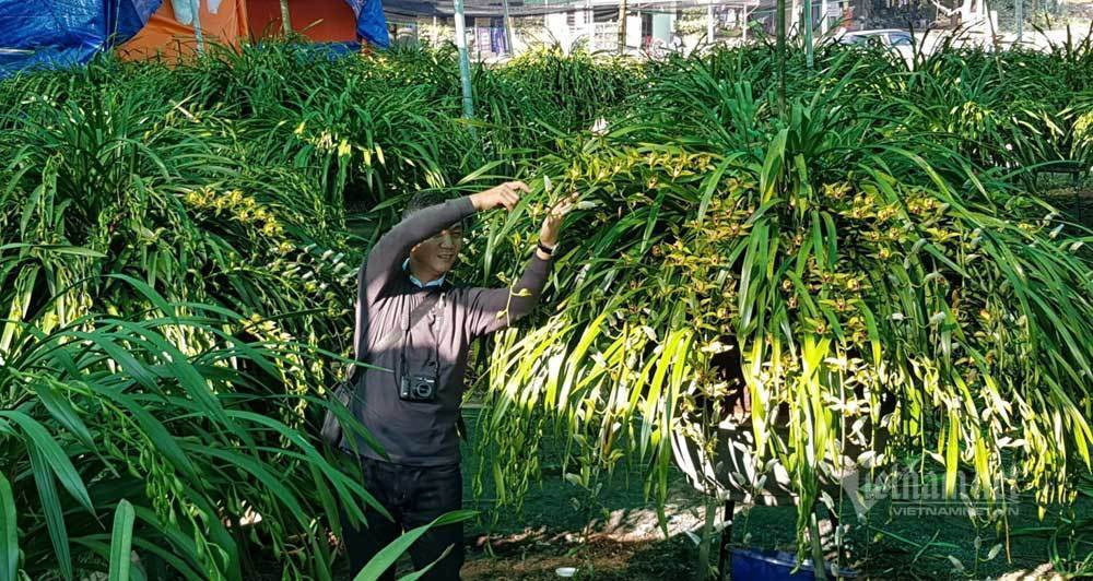 Dai gia can tien, dia lan Tran Mong e chua tung co-Hinh-4