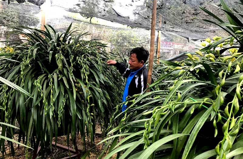 Dai gia can tien, dia lan Tran Mong e chua tung co-Hinh-3