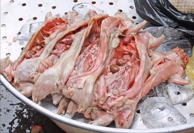 Dac san tang cuong sinh luc duoc lam tu bo phan nhay cam cua con chuot-Hinh-6