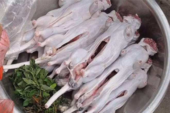 Dac san tang cuong sinh luc duoc lam tu bo phan nhay cam cua con chuot-Hinh-4